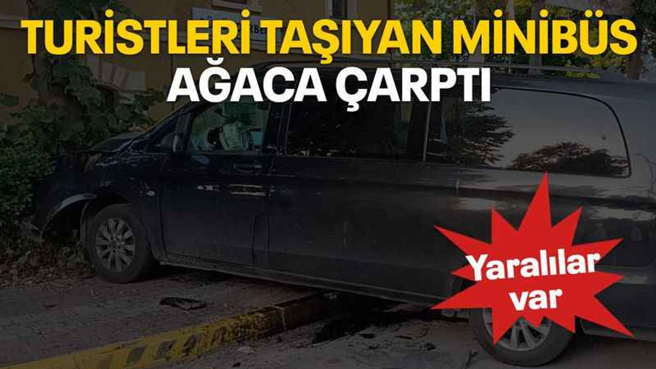 Turistleri taşıyan minibüs ağaca çarptı yaralılar var